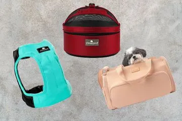 The 8 Best Dog Car Seats of 2024