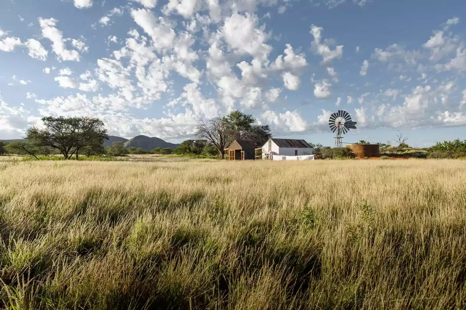 Inside Klein Jan, the New Fine-dining Restaurant Within South Africa's Tswalu Kalahari Reserve