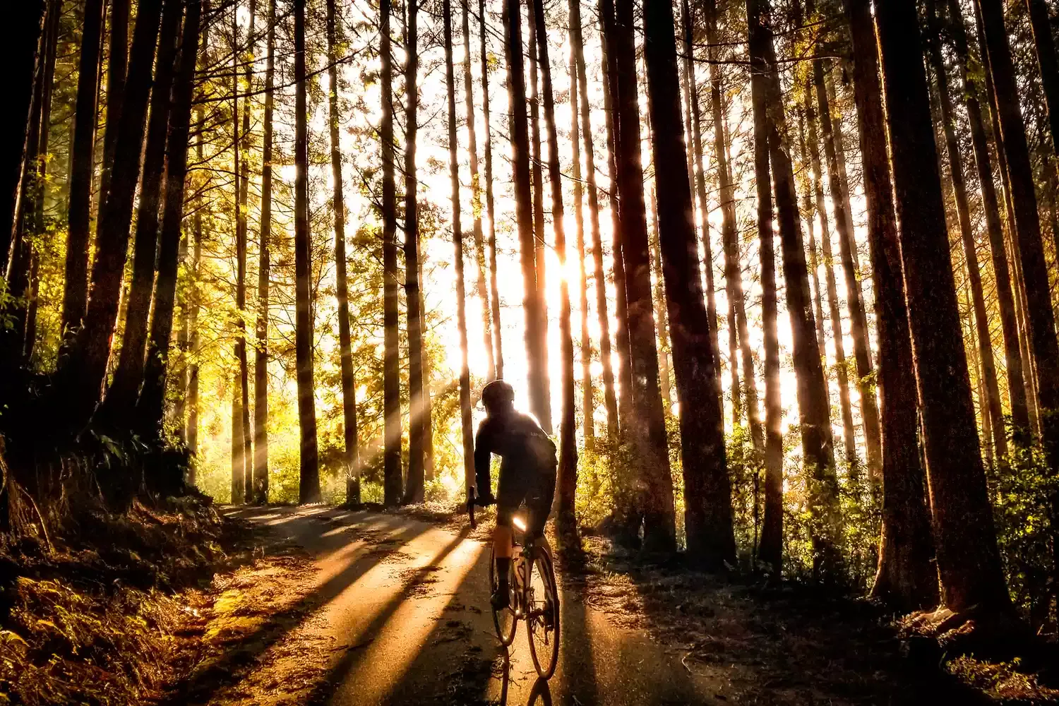 I Spent 3 Days Biking Around Kyushu, Japan — Here’s Why It Was an Incredible Way to See the Island