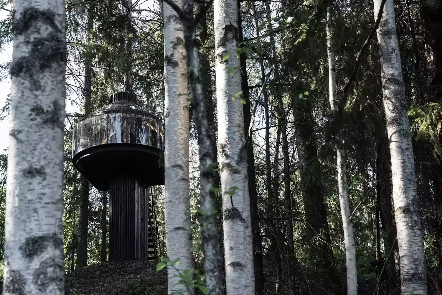 I Stayed in a Secret Tree House in Finland — Here's What It Was Like
