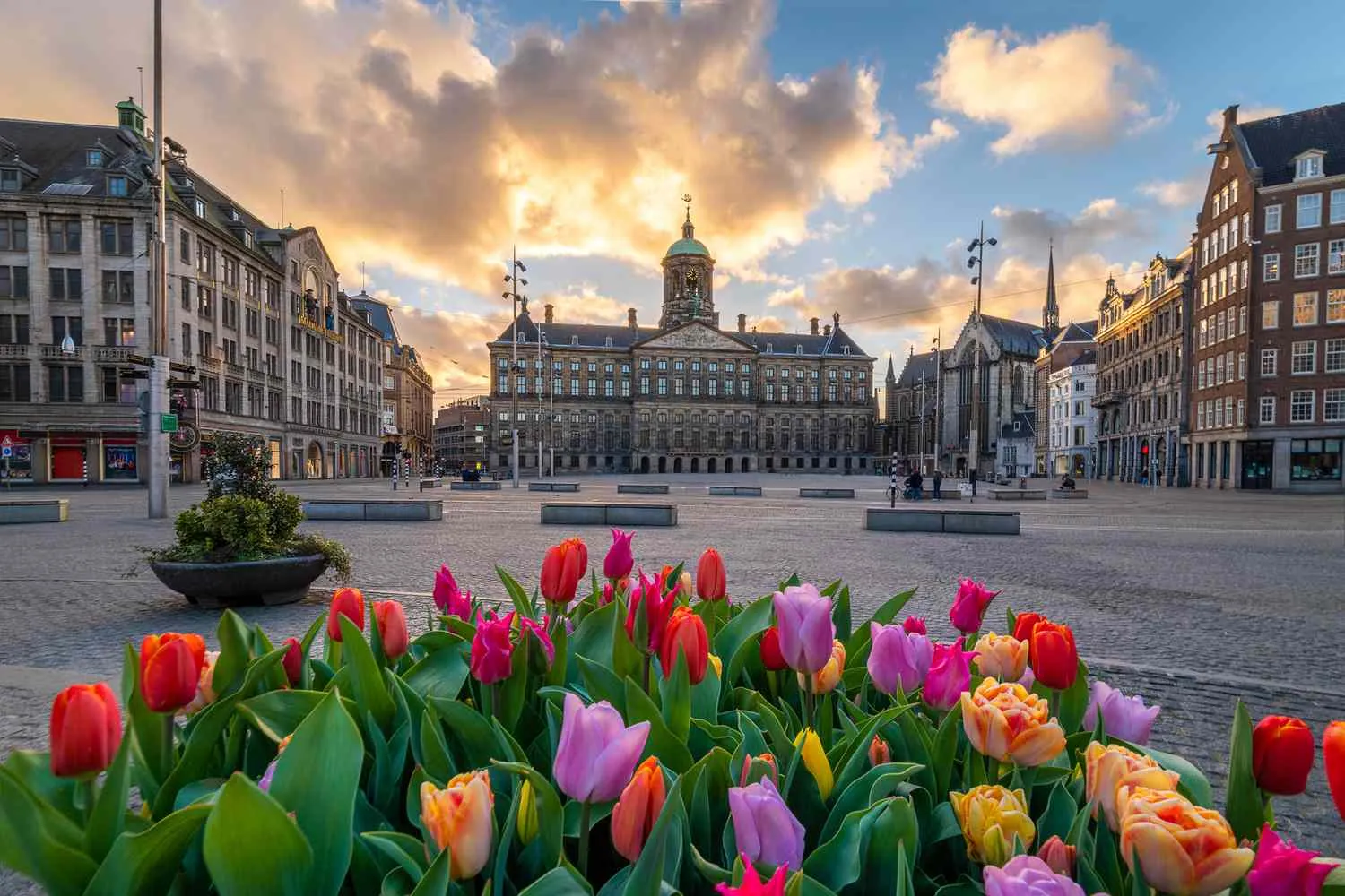 20 Best Things to Do in Amsterdam, From Classic Art Museums to Hidden Speakeasies