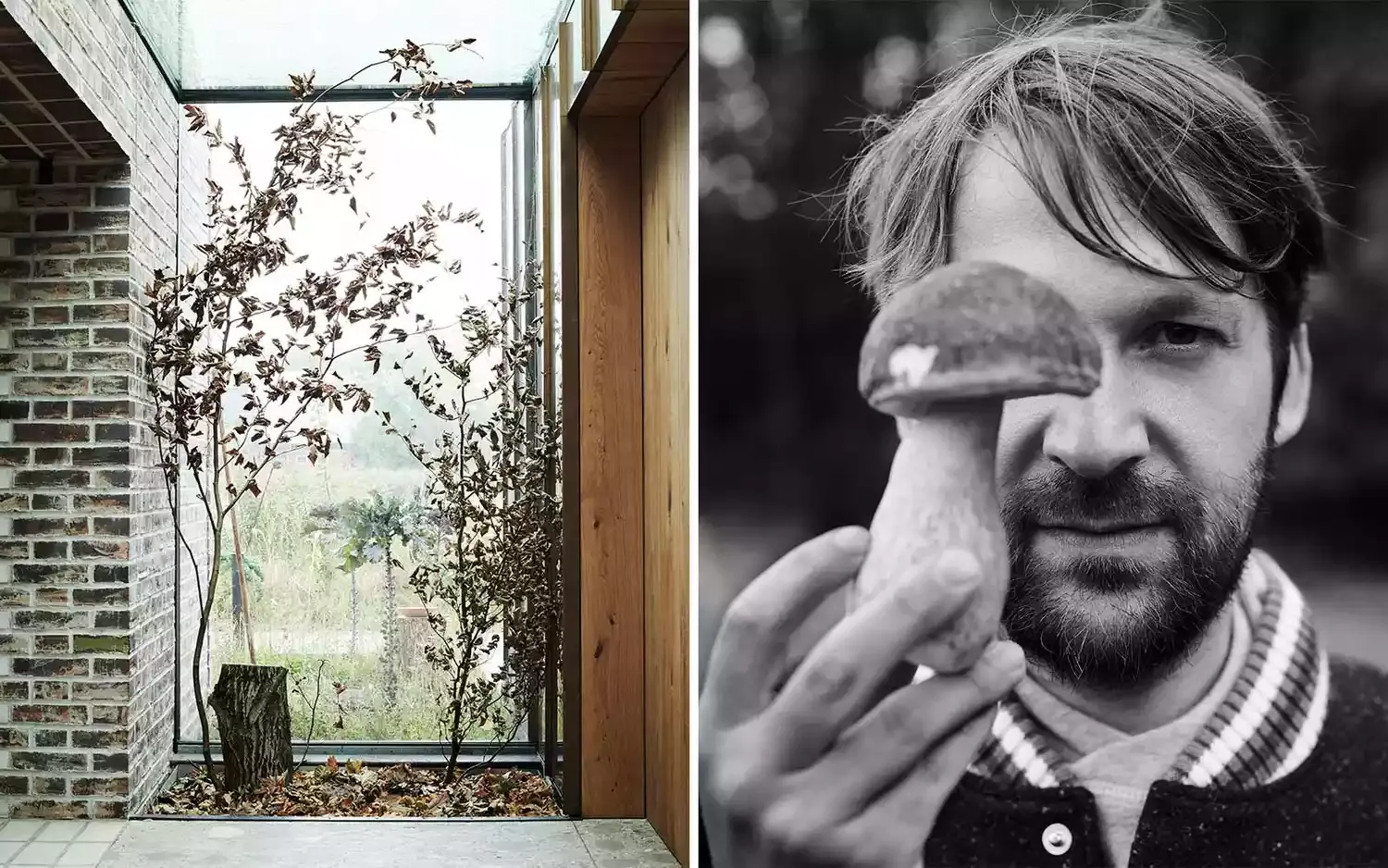 The Best Places in the World to Travel if You Love Mushrooms