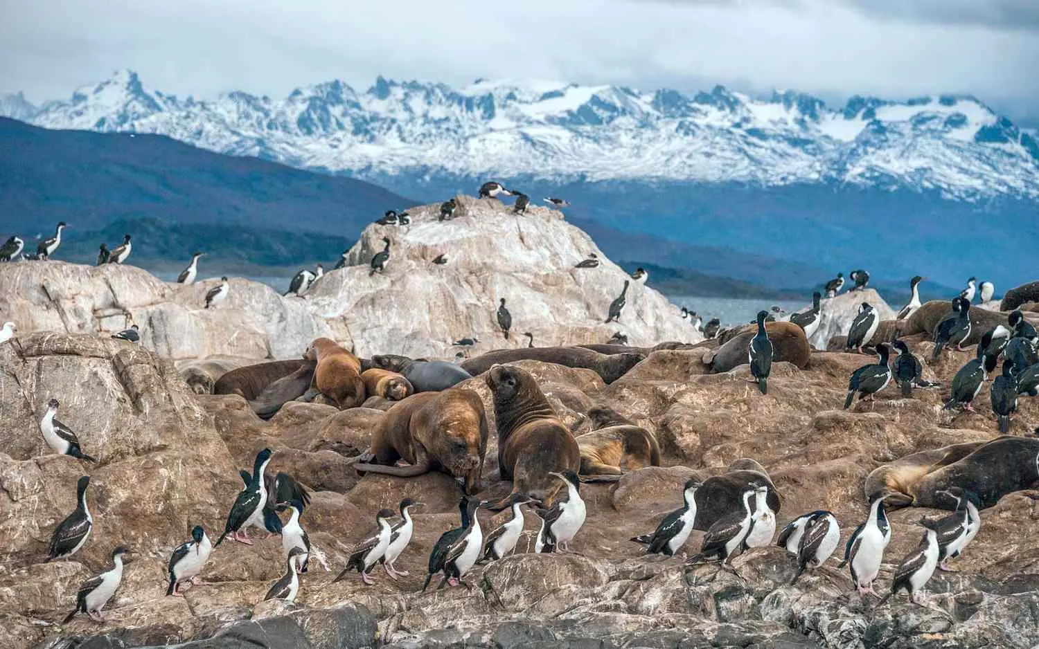 The Best Adventure Cruises for Solo Travelers