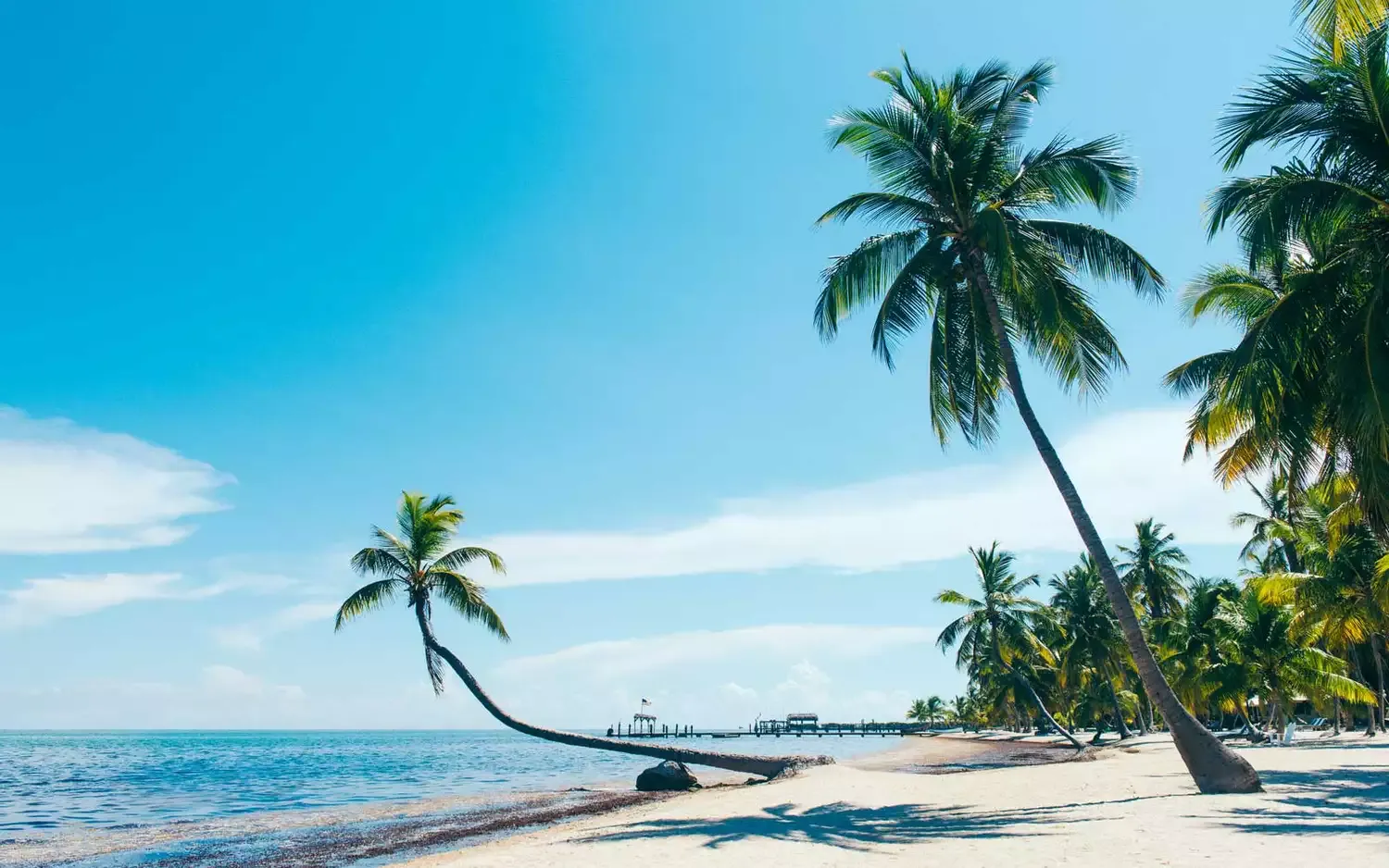 The 12 Best Places to Visit in Florida, According to a Lifelong Resident