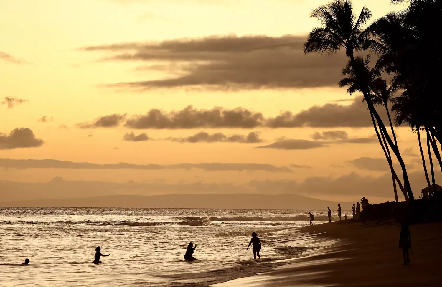 This Maui Music and Food Festival Will Help Raise Money for Survivors a Year After Wildfires — How to Donate