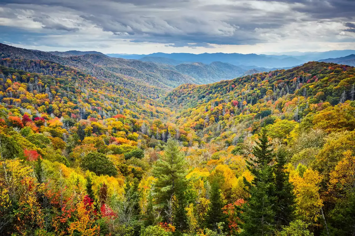 20 Best Places to Visit in Tennessee, According to Locals