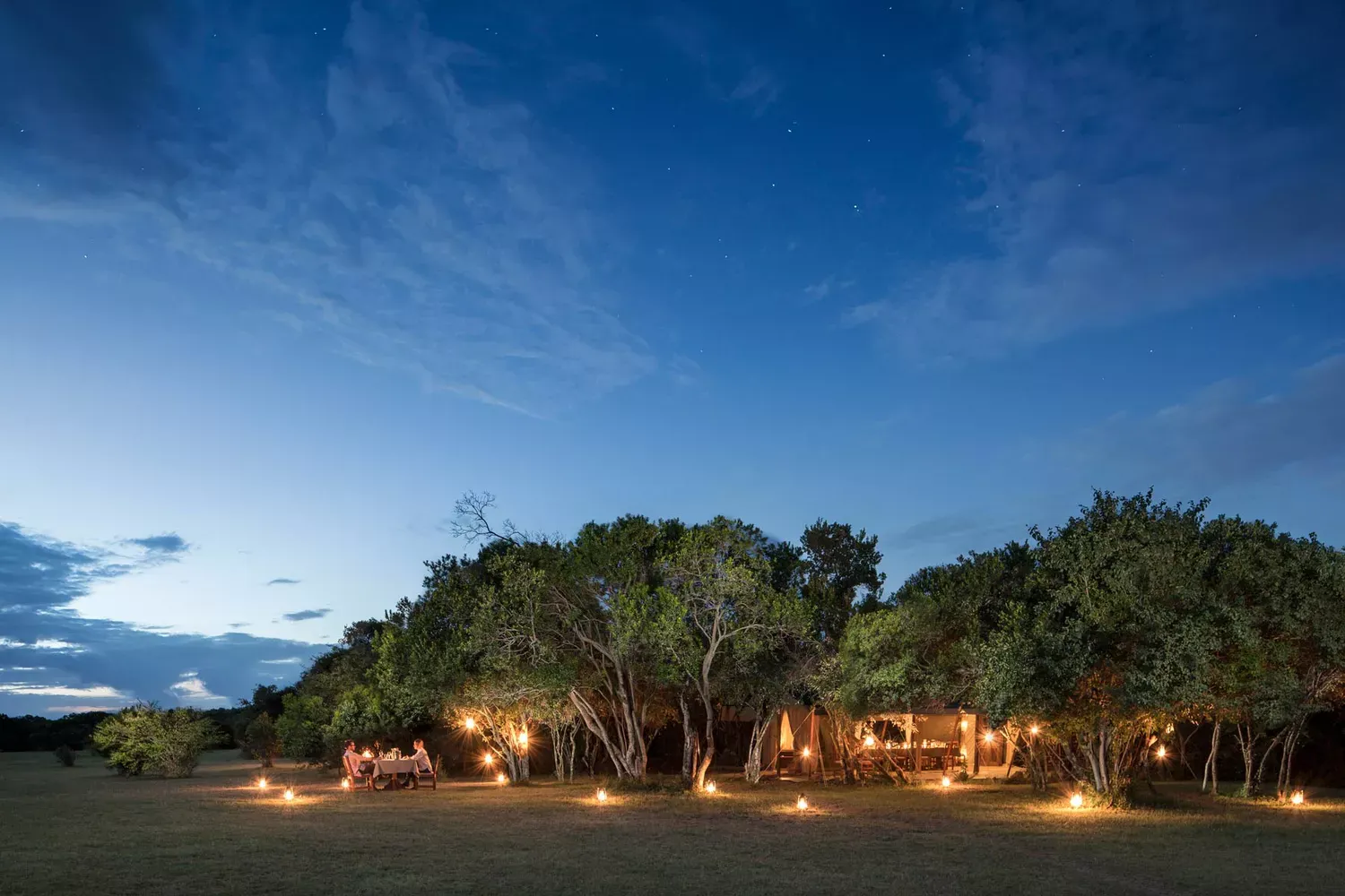 Shorter Safaris Are Finally Possible, Thanks to New Direct Flights