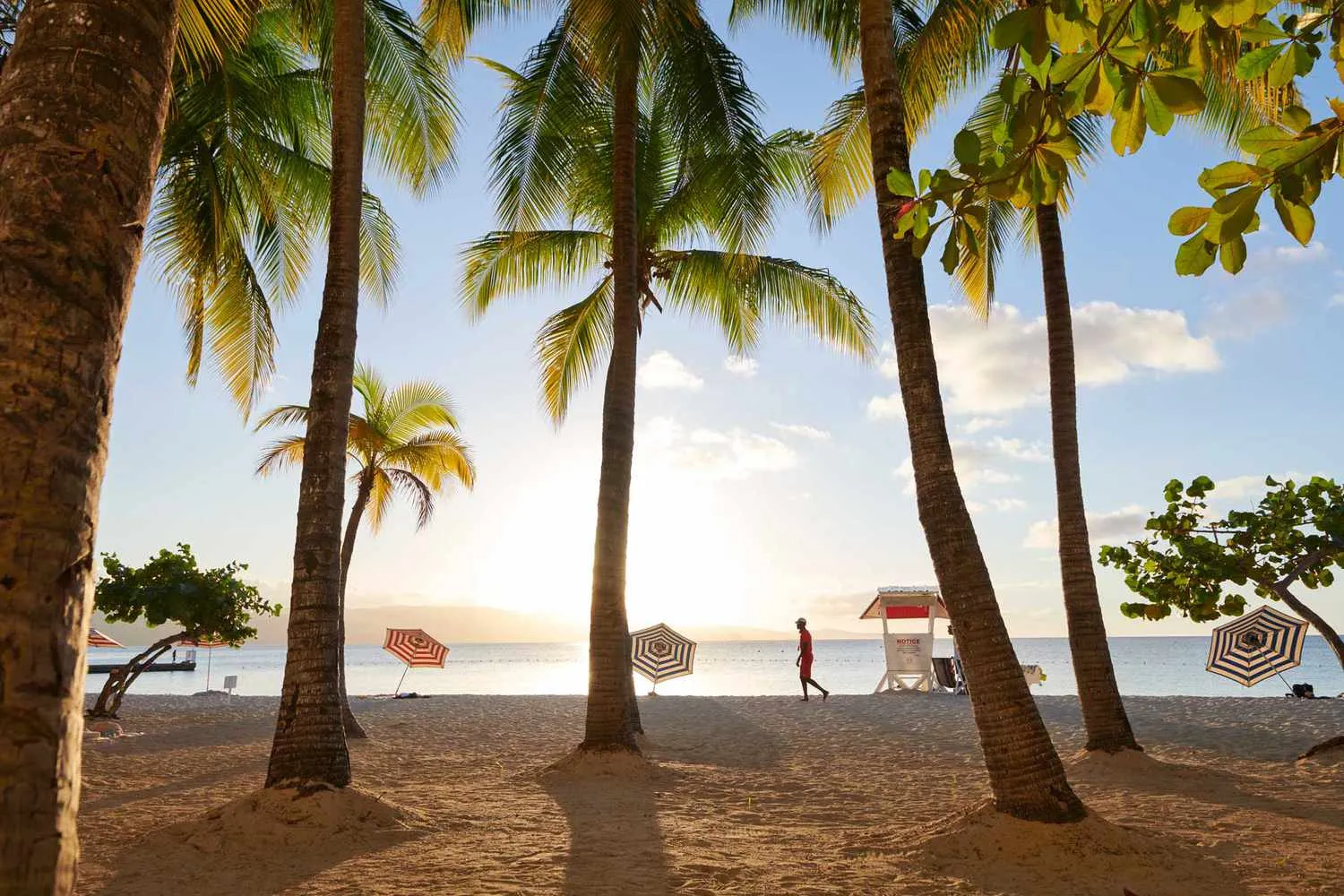 Jamaica’s Rich Literary Legacy Is Finally Getting the Global Recognition It Deserves