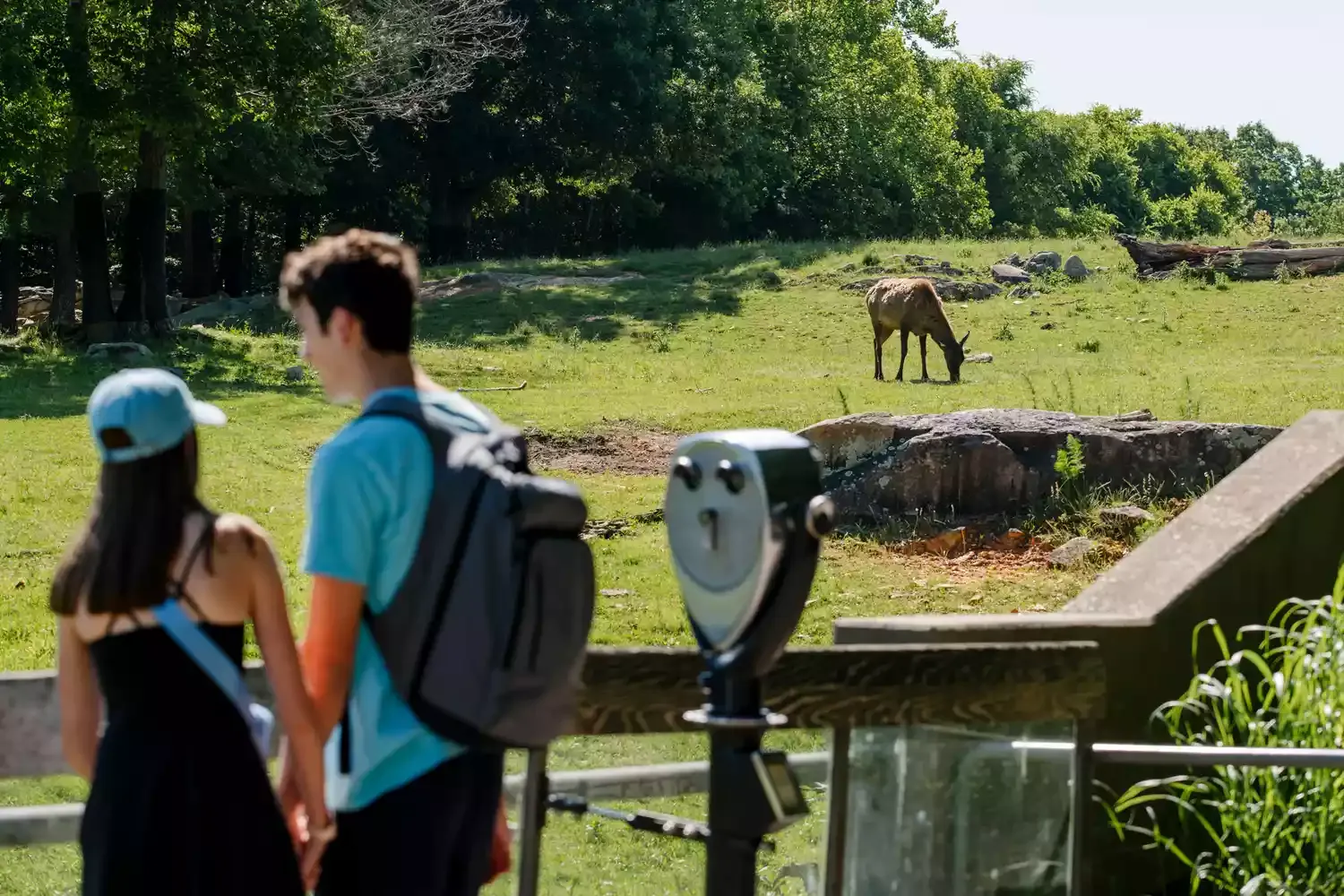 This Lesser-known North Carolina City Has Beautiful Hikes, a Lively Downtown, and the World's Largest Natural Habitat Zoo