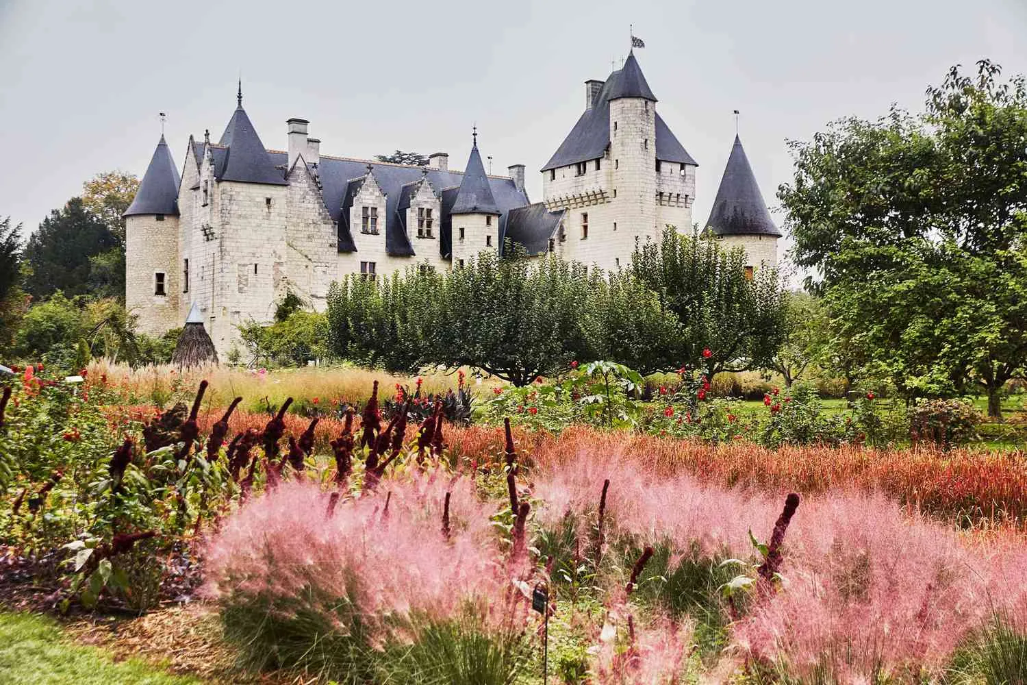 The Loire Valley Is Home to the Grandest Châteaux in France — and Some of the Boldest New Winemakers in the Country