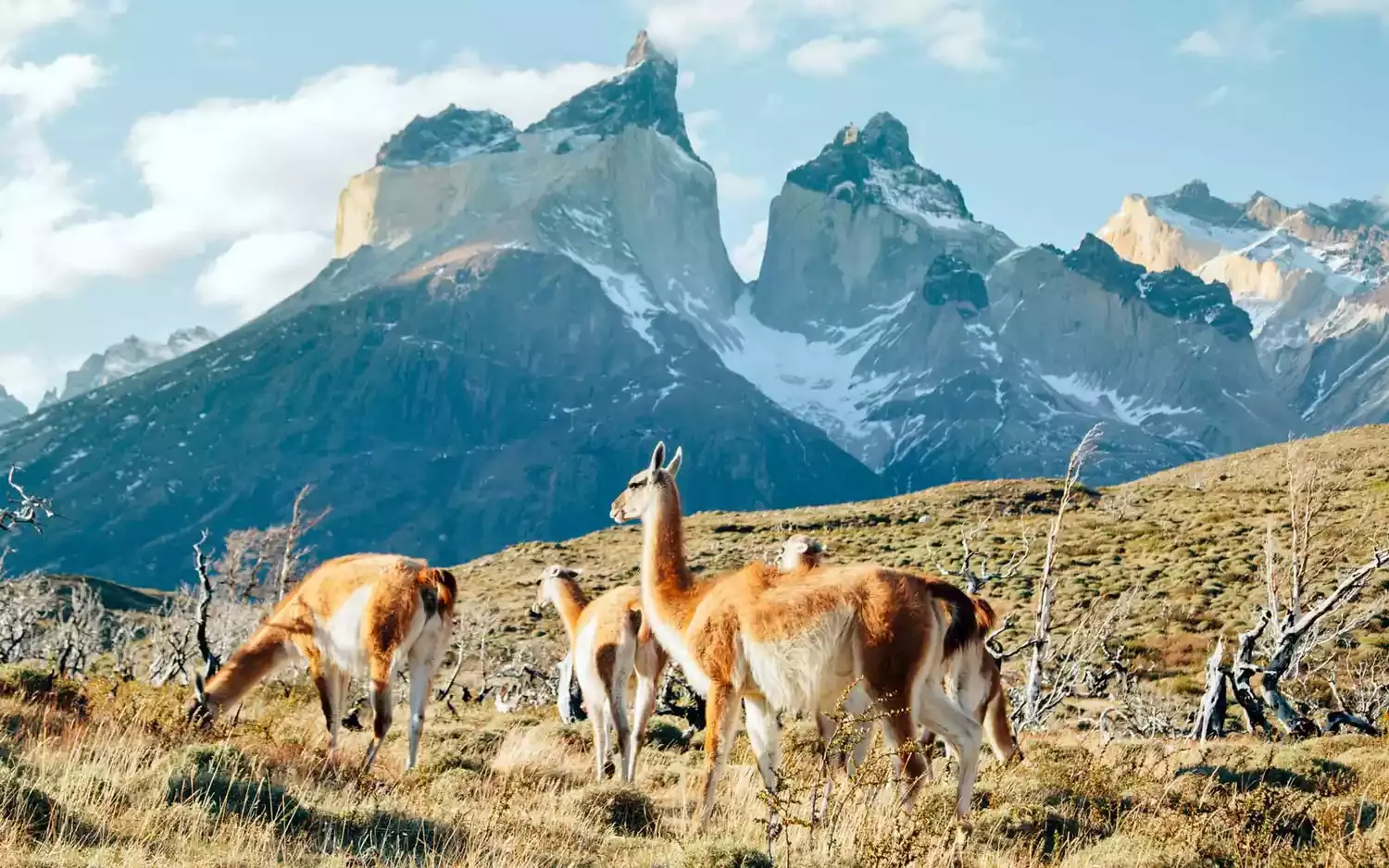 How to Travel to Patagonia