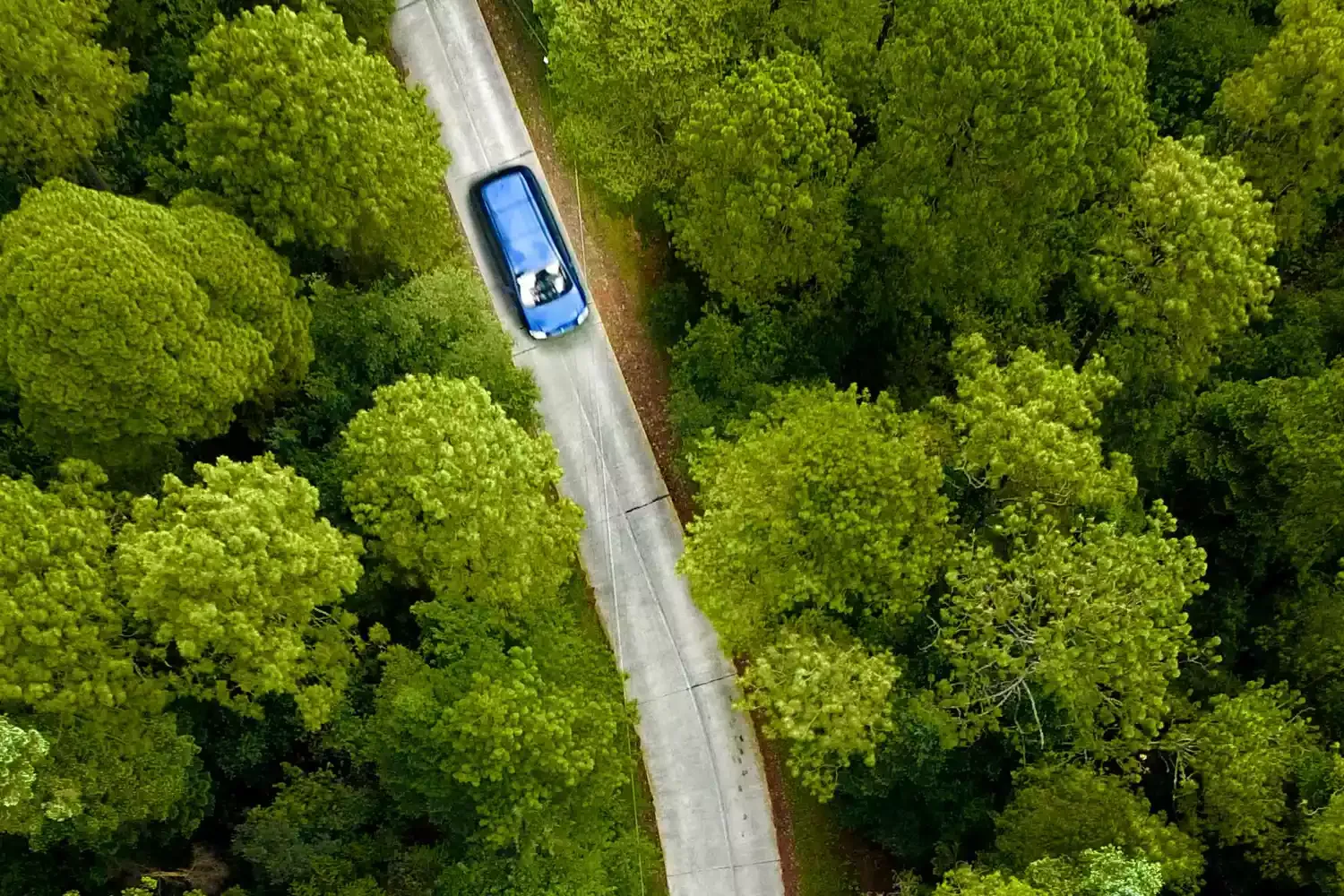 Our Readers' Favorite 5 Car-rental Companies in 2020