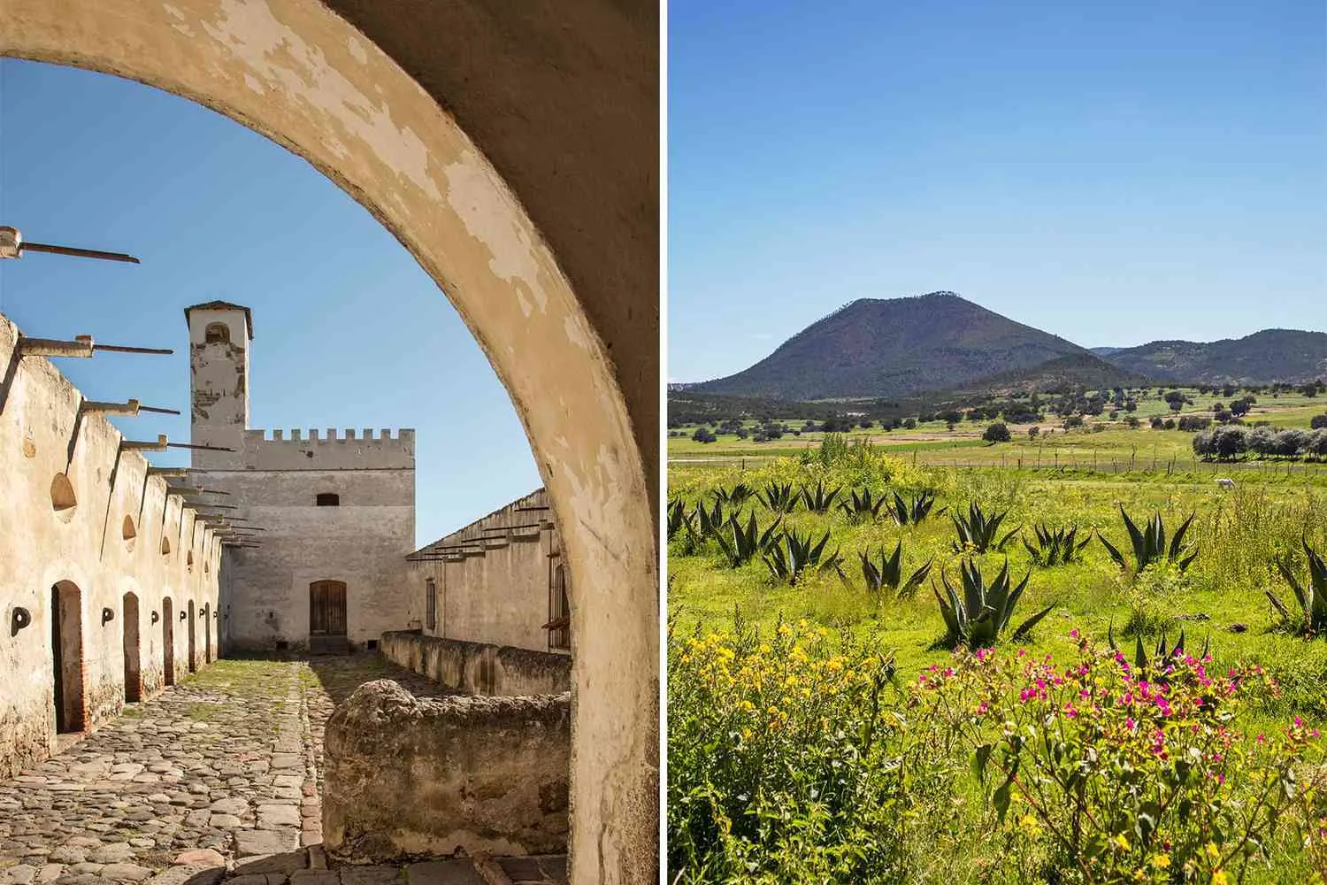 This Easy Weekend Road Trip From Mexico City Has the Perfect Mix of Culture, Food, and Countryside Views