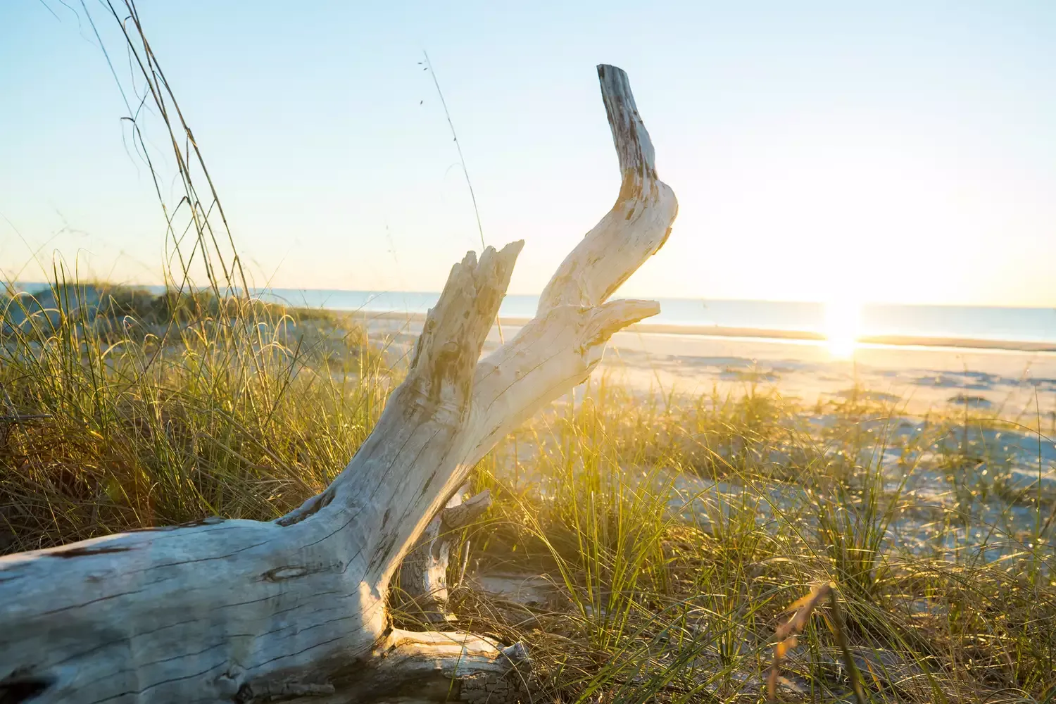 The Best Beaches on Hilton Head Island for Family Time, Romantic Strolls, Scenic Bike Rides, and More