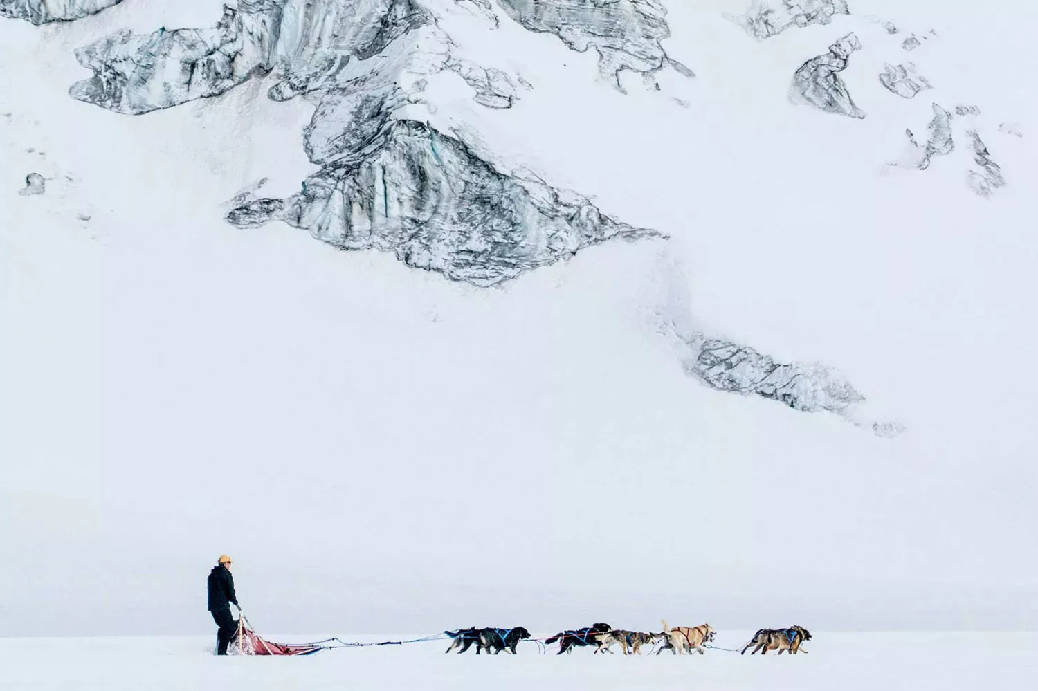 Our Readers' Favorite 10 Tour Operators in 2020