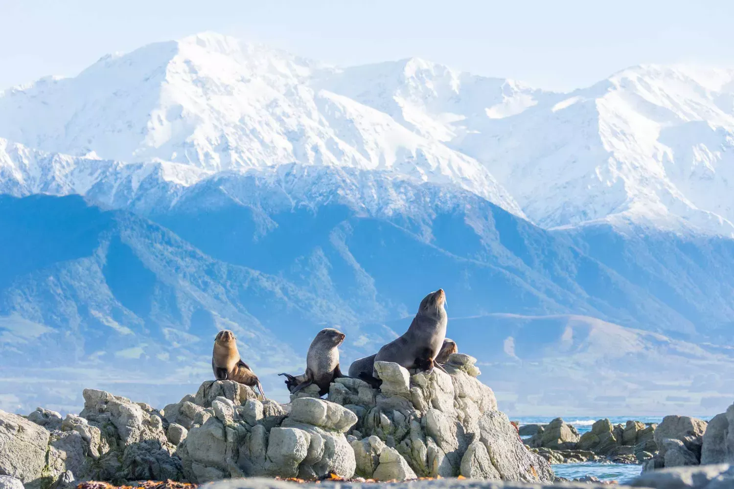 3 Destinations Leading the Charge for Sustainable Tourism
