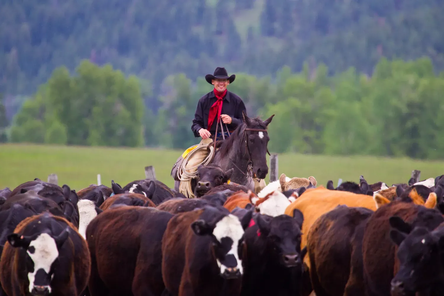 This Small Montana Town Is Home to the Real Dutton Ranch From 'Yellowstone' — and the Best Resort in the State
