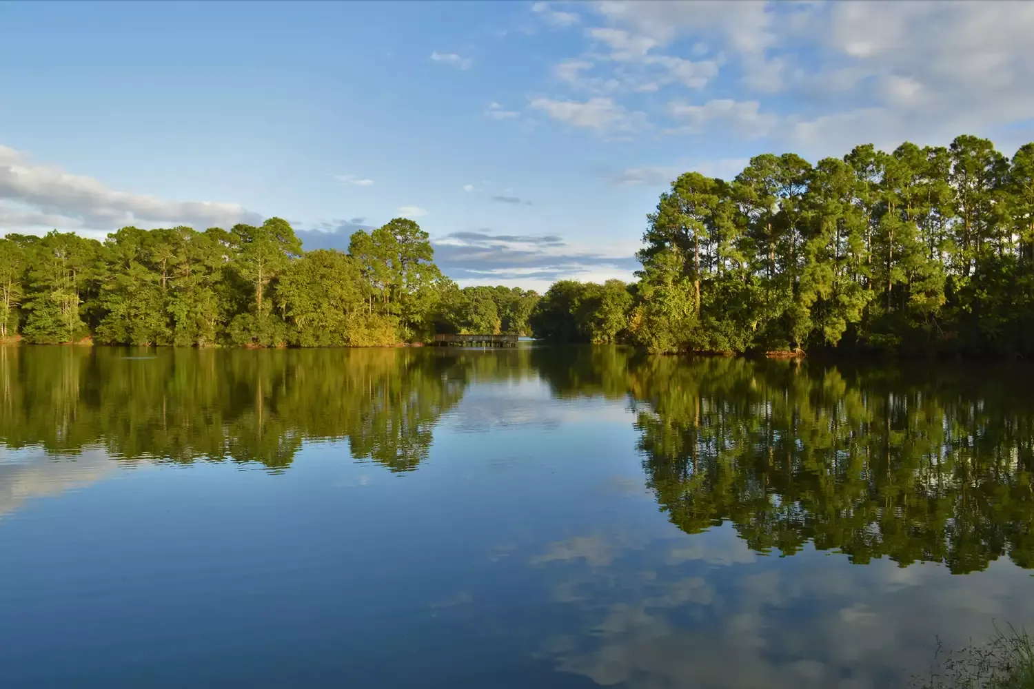 5 Hikes That Put the Natural Beauty of Hilton Head Island on Full Display
