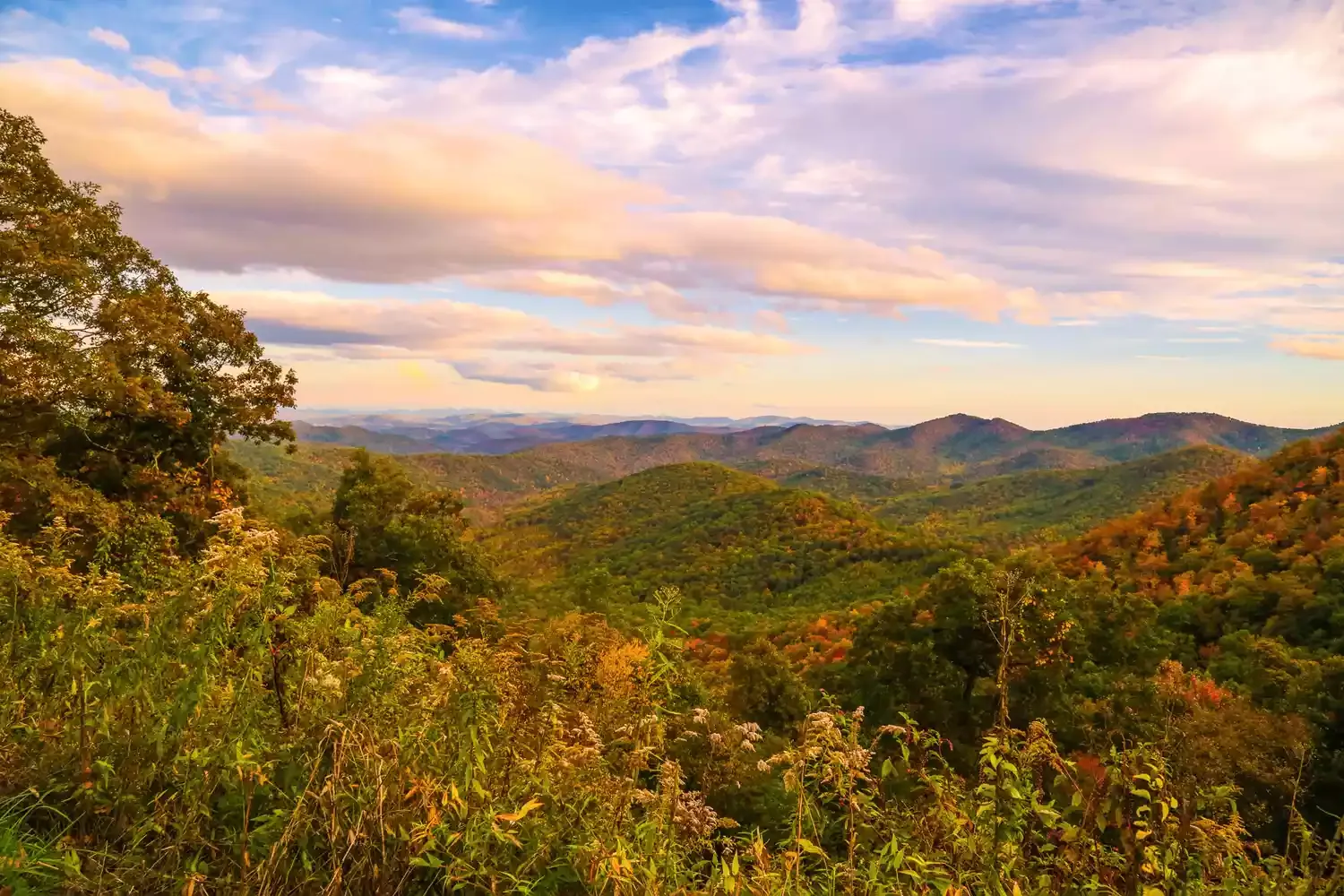 North Carolina Is Home to 'America's Favorite Drive' — and It Might Be the Most Peaceful Place in the State