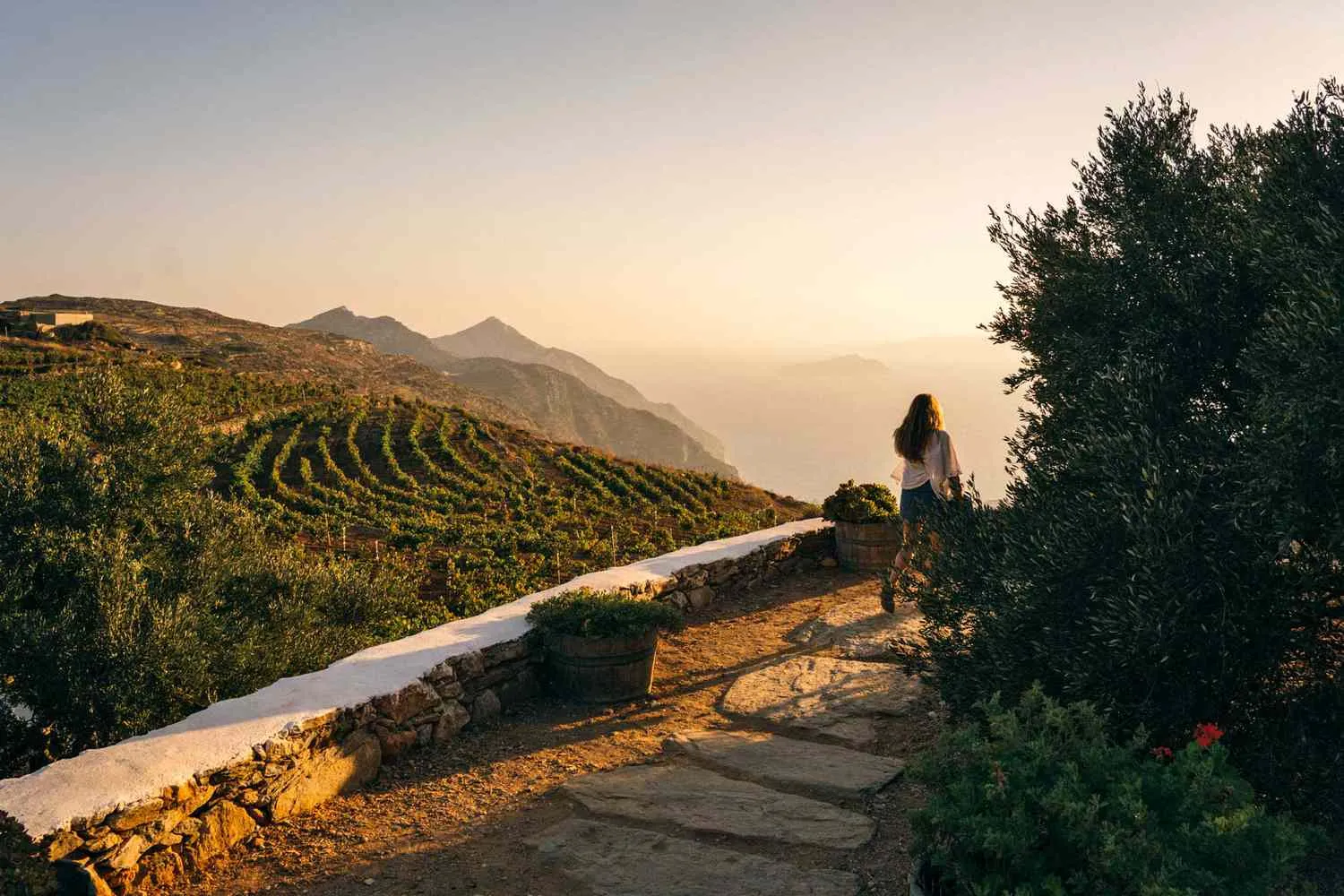 A Tasting Tour of the Greek Islands' Best Natural Wineries