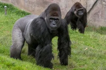 20 of the Best Zoos in the World