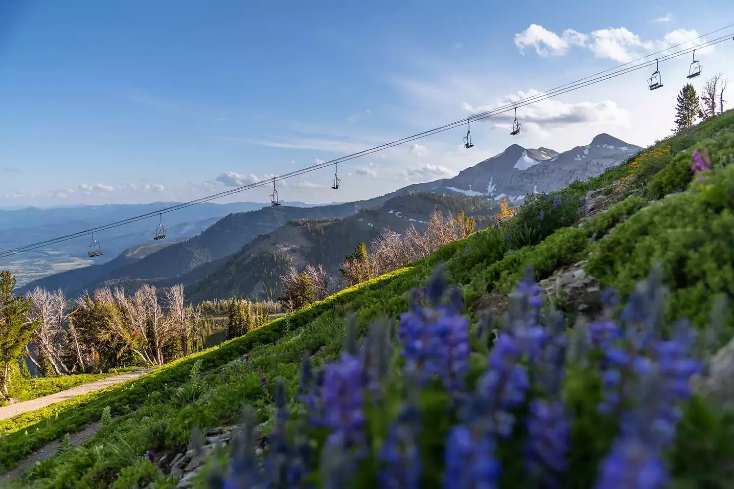 10 U.S. Ski Destinations That Are Just As Spectacular in the Summer