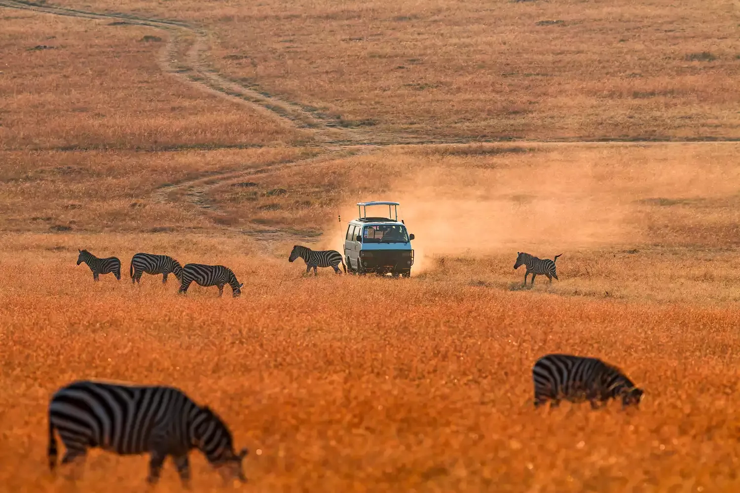 This 4-country Safari Is the ‘Greatest on Earth’ — Aboard an Emirates Executive Private Jet