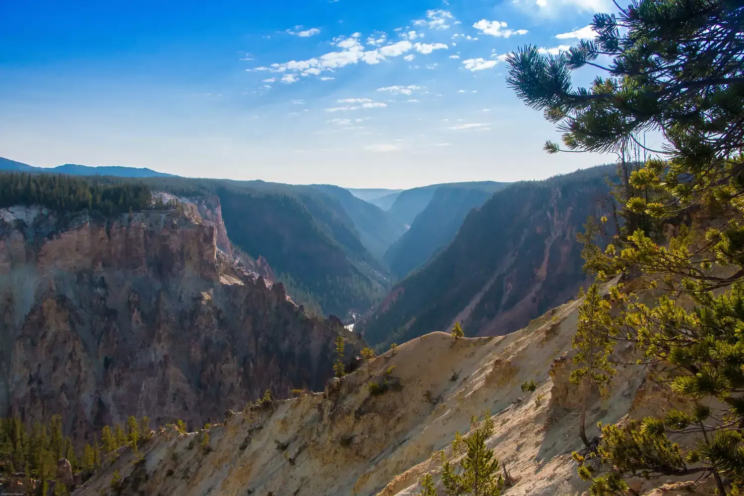 The Best Times to Visit Yellowstone National Park