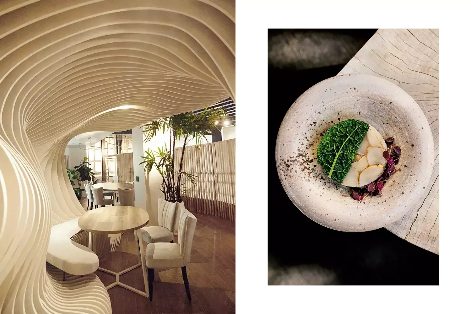 Argentina’s Iconic Cuisine Is Changing — Here Are 13 Standout Plant-based Eateries in Buenos Aires