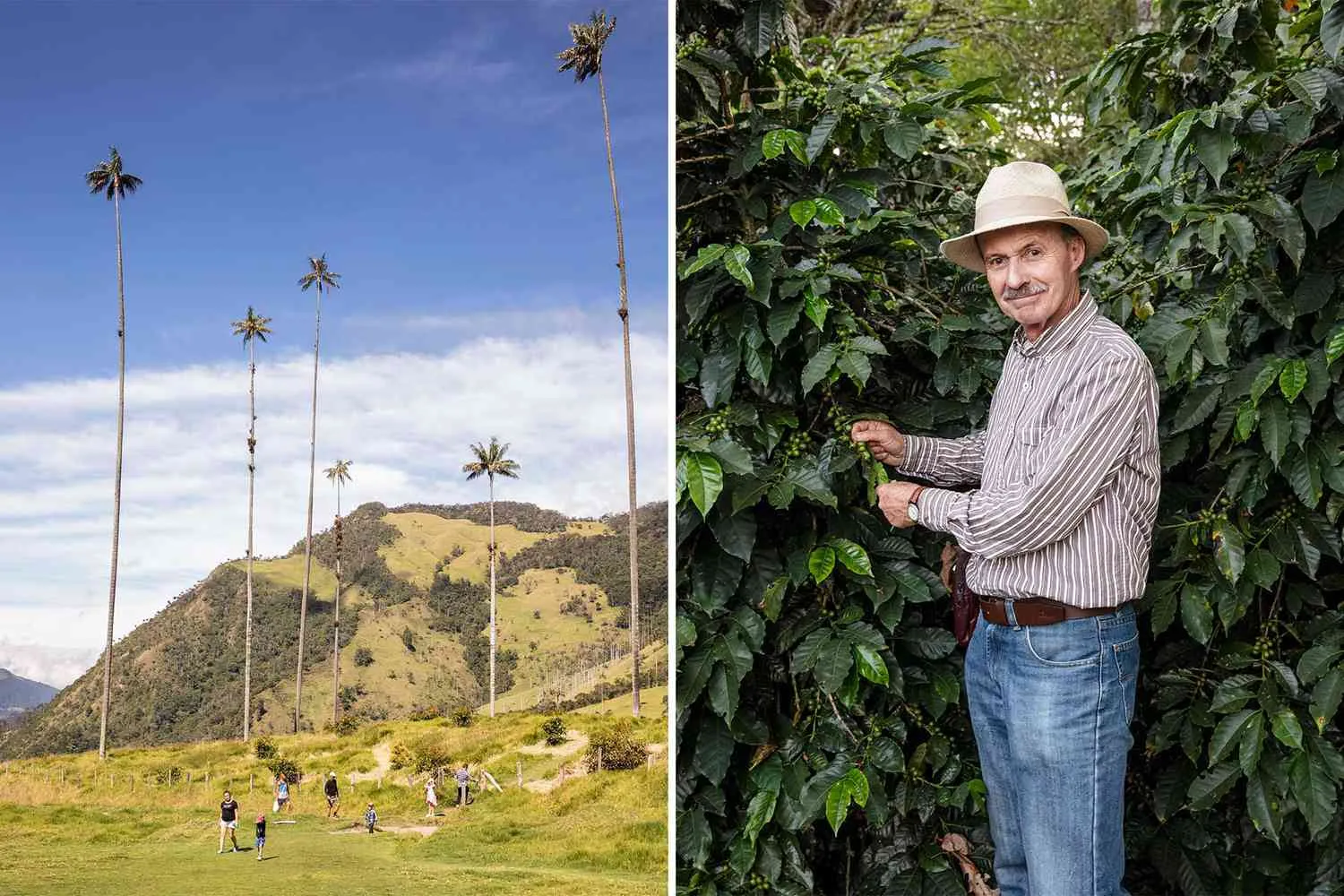 In Colombia's Eje Cafetero, Coffee Is Just the Beginning