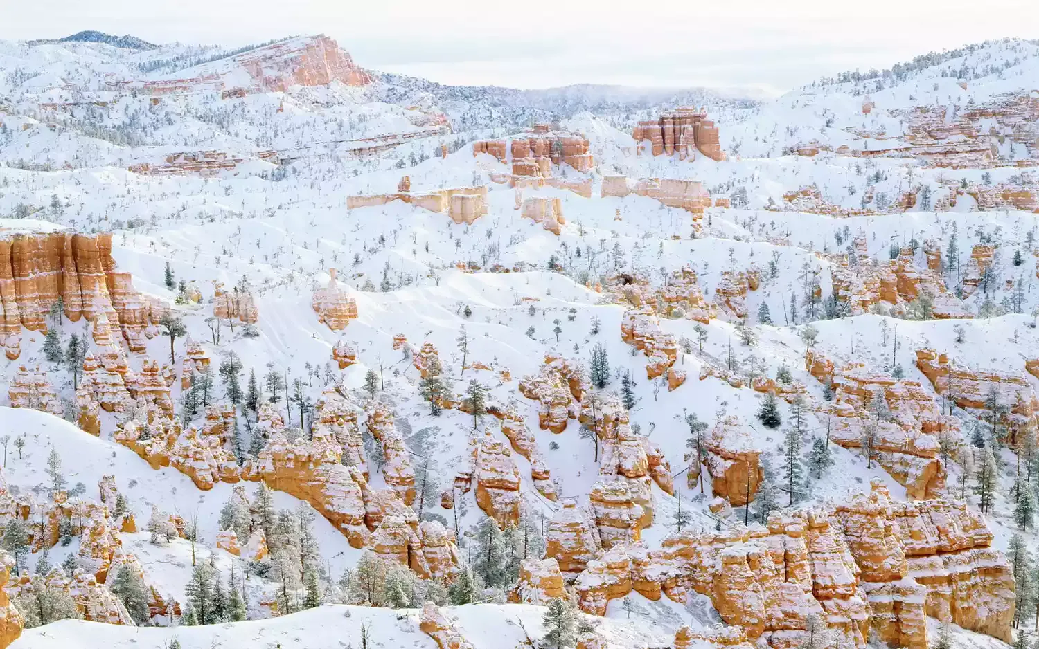 12 Best National Parks to Visit in Winter