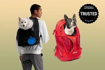 The 6 Best Dog Backpack Carriers of 2024, Tested and Reviewed