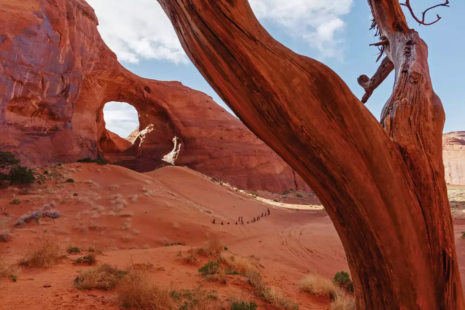 This Is the Best Season to Visit the National Parks in the American West