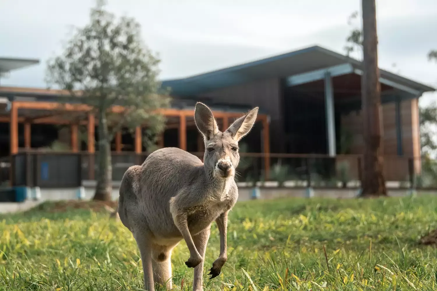 Steve Irwin's Family Just Opened a Luxury Lodge at the Australia Zoo to Honor His Legacy — Take a Look Inside
