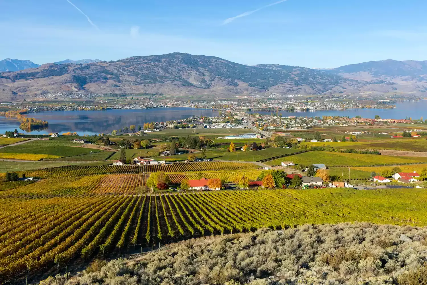 This Under-the-radar Canadian Wine Region Has North America's First Indigenous-owned Winery, 4,000 Acres of Vineyards, and Great Hiking and Biking