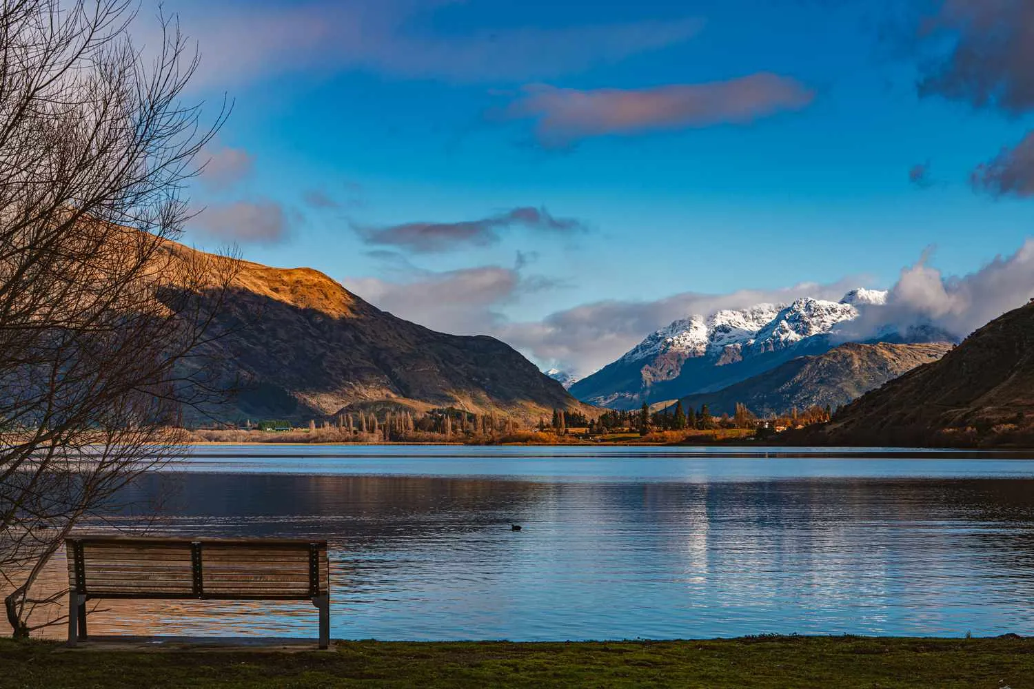 How to Plan the Perfect Trip to New Zealand
