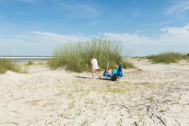 15 Best Islands in the Continental U.S. — Beautiful Views, Serene Nature, and Laid-back Vibes Included