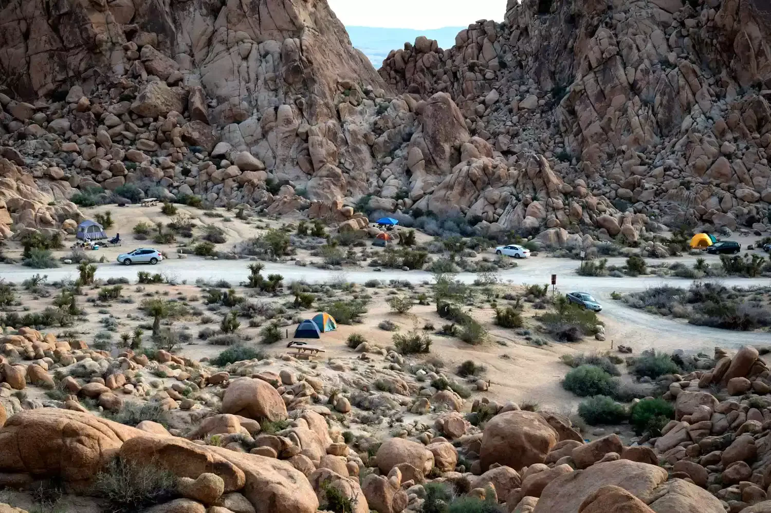 7 Amazing RV Campgrounds in Joshua Tree National Park