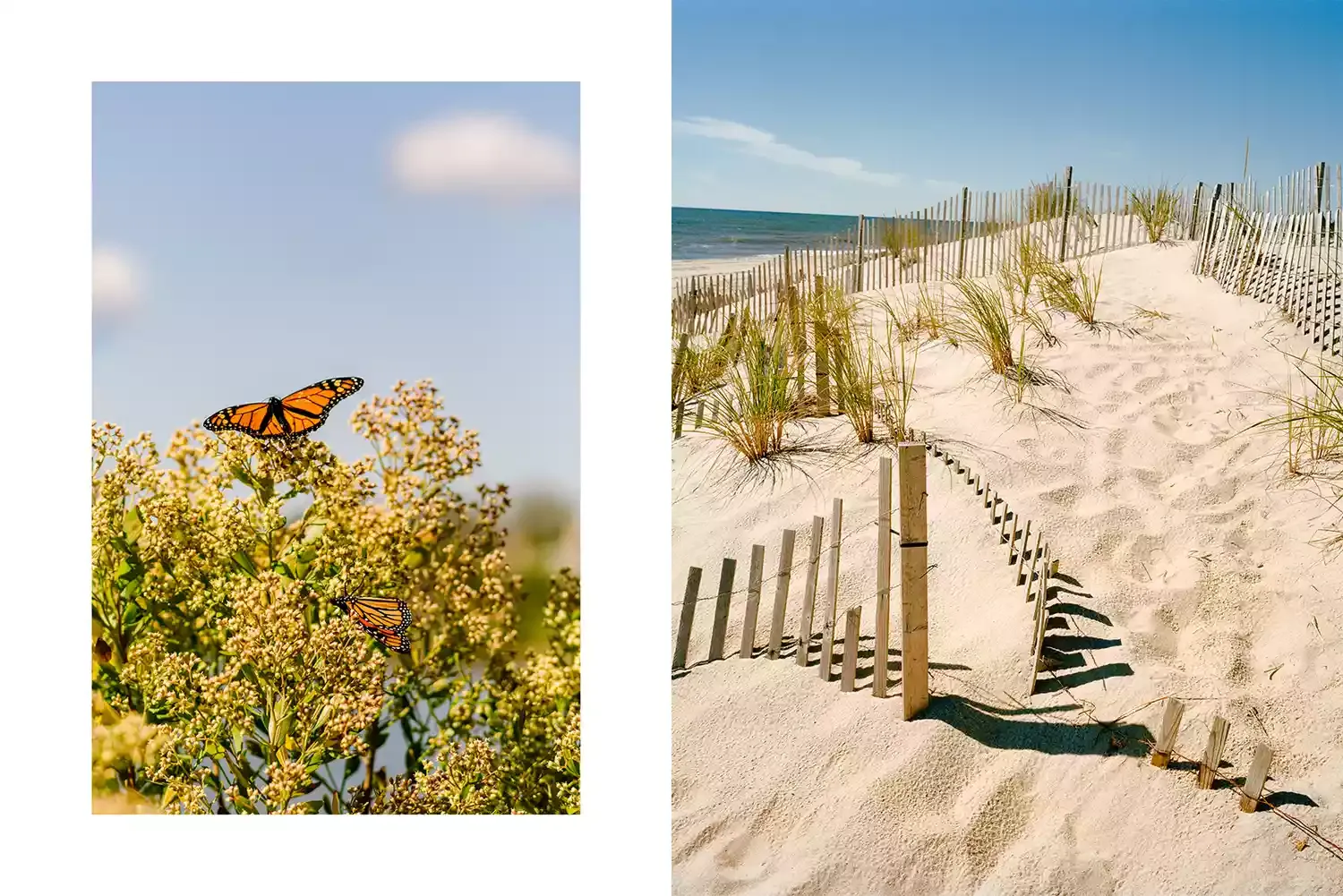 The Hamptons Is More Than Just a Luxury Beach Destination — It’s Also a Place With Rich Literary and Artistic Heritage