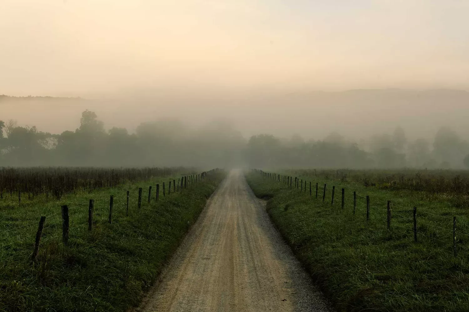 Discover Appalachian Cuisine, Craft Distilleries, and Music History on a Tennessee Road Trip