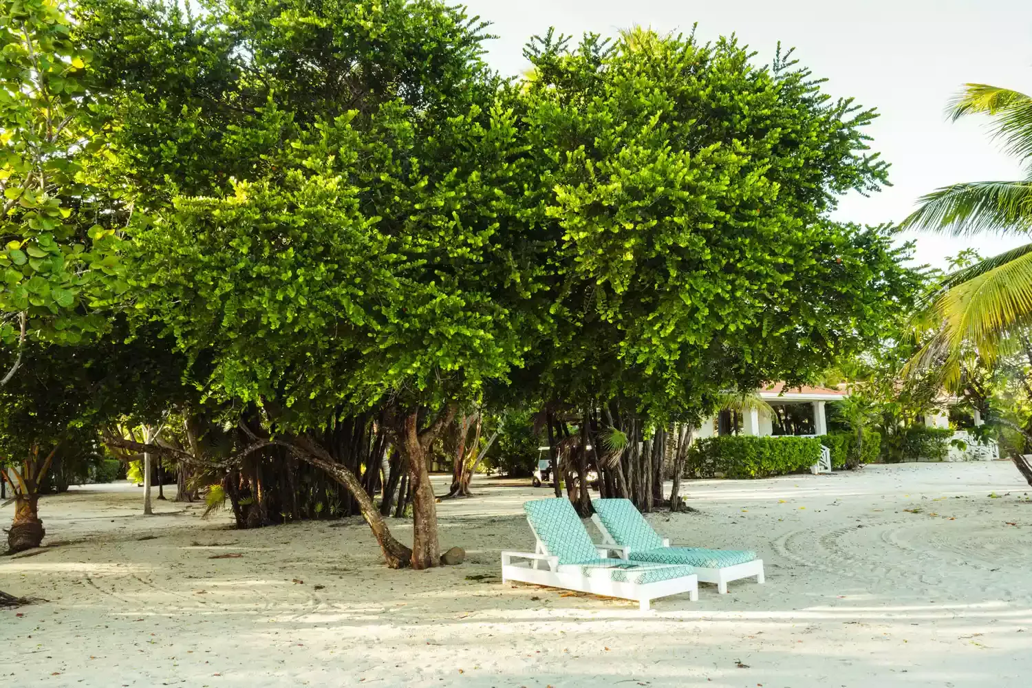 20 Best Things to Do in Belize, From Barrier Reef Excursions to Cave Tours