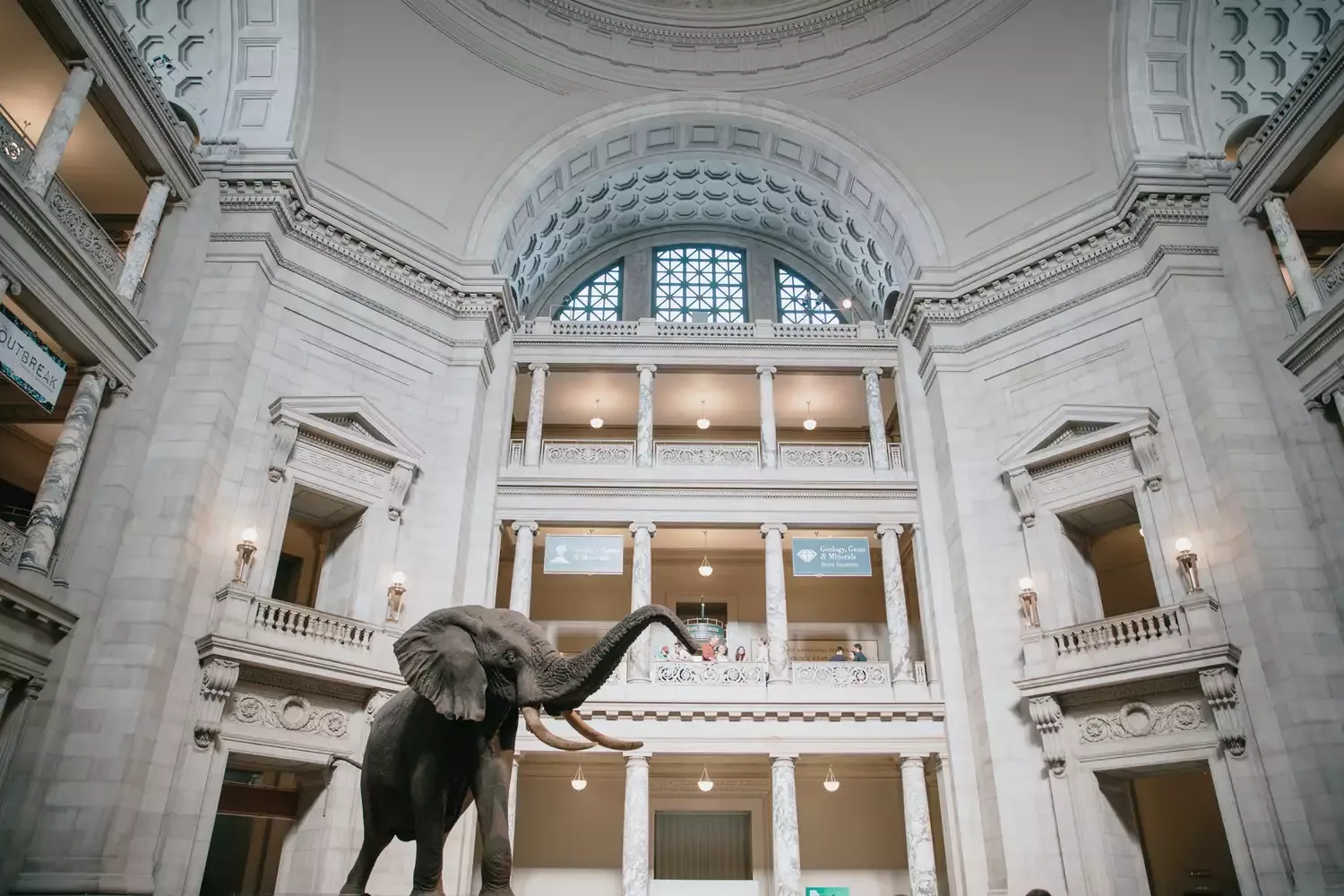 34 Best Things to Do in Washington, D.C., From National Landmarks to Renowned Museums