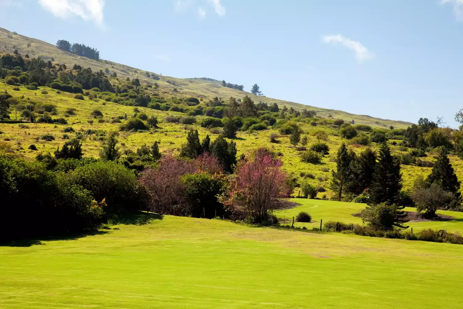 7 Destinations in Hawaii Where the Locals Love to Go