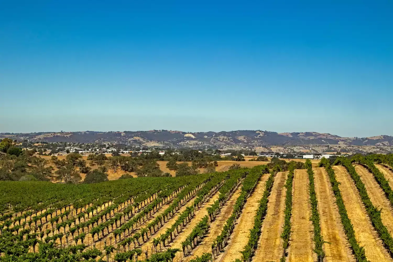The Best U.S. Small Towns to Visit by Train — From California Wine Country to New York's Hudson Valley