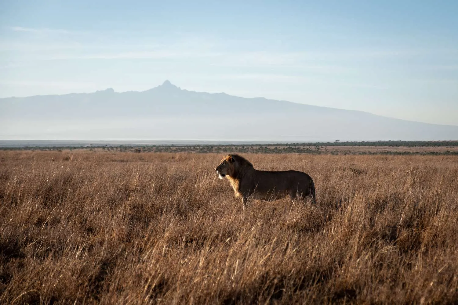 I Designed a Safari Based Entirely on a Poem That Changed My Life — and You Can Sign Up for the Next Trip in Spring 2024