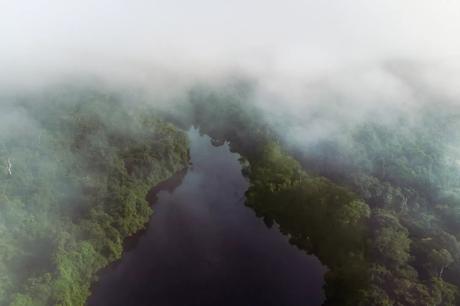 Brazil's Ecosystems Are Under Threat — but These Eco-lodges Are Trying to Save Them
