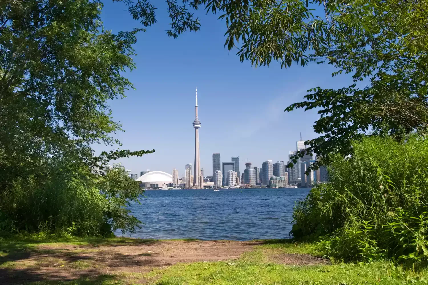 24 Best Things to Do in Toronto, According to Local Experts