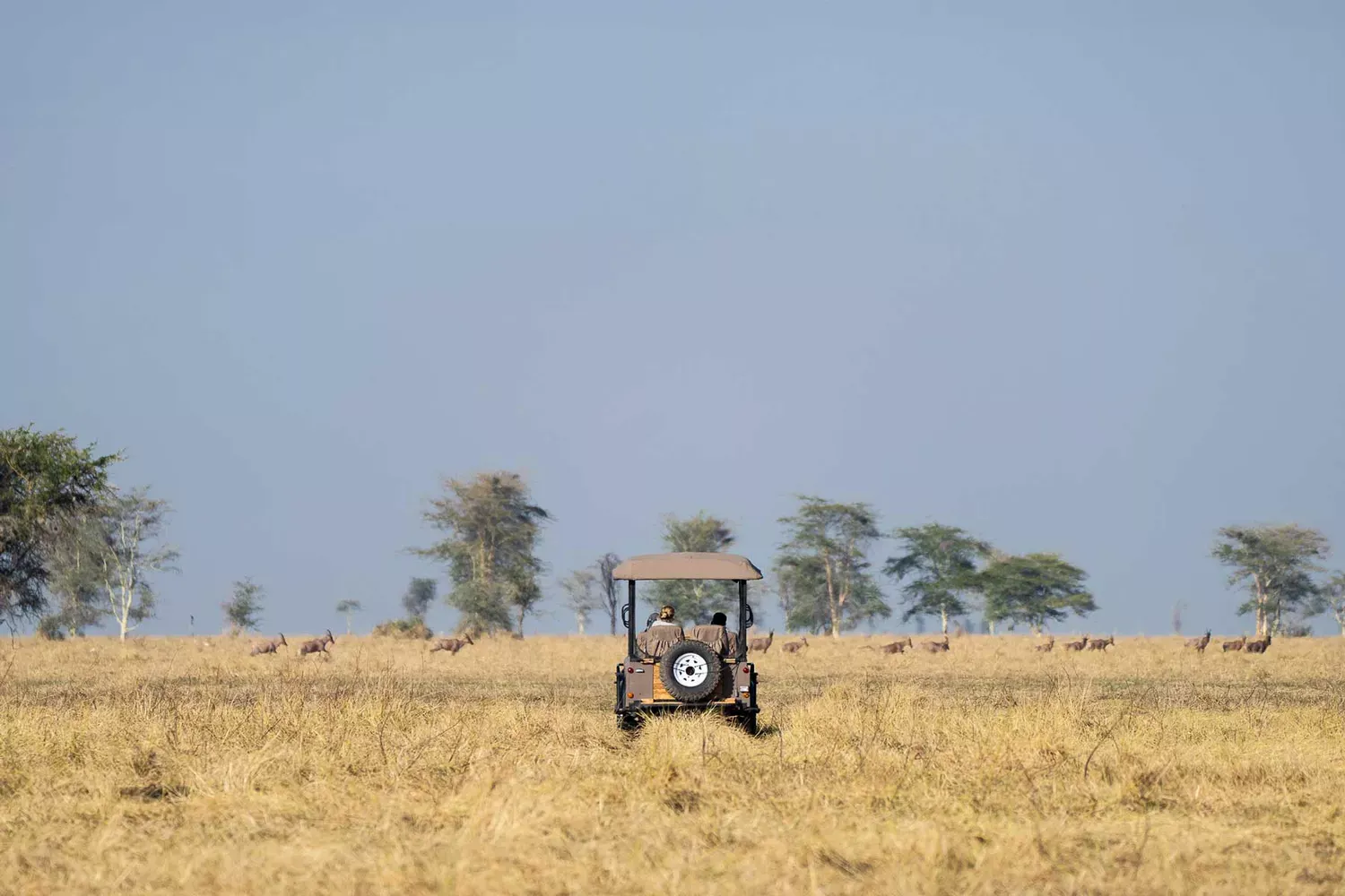 This New Conservation-focused Safari Camp in Tanzania Offers Night Drives and Incredible Wildlife Adventures — See Inside