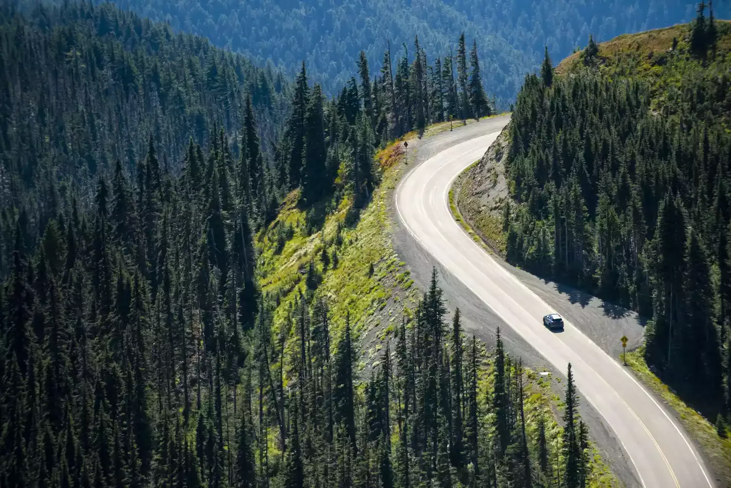 The Best Road Trip Apps That Help You Find Cheap Gas, Avoid Traffic, and More