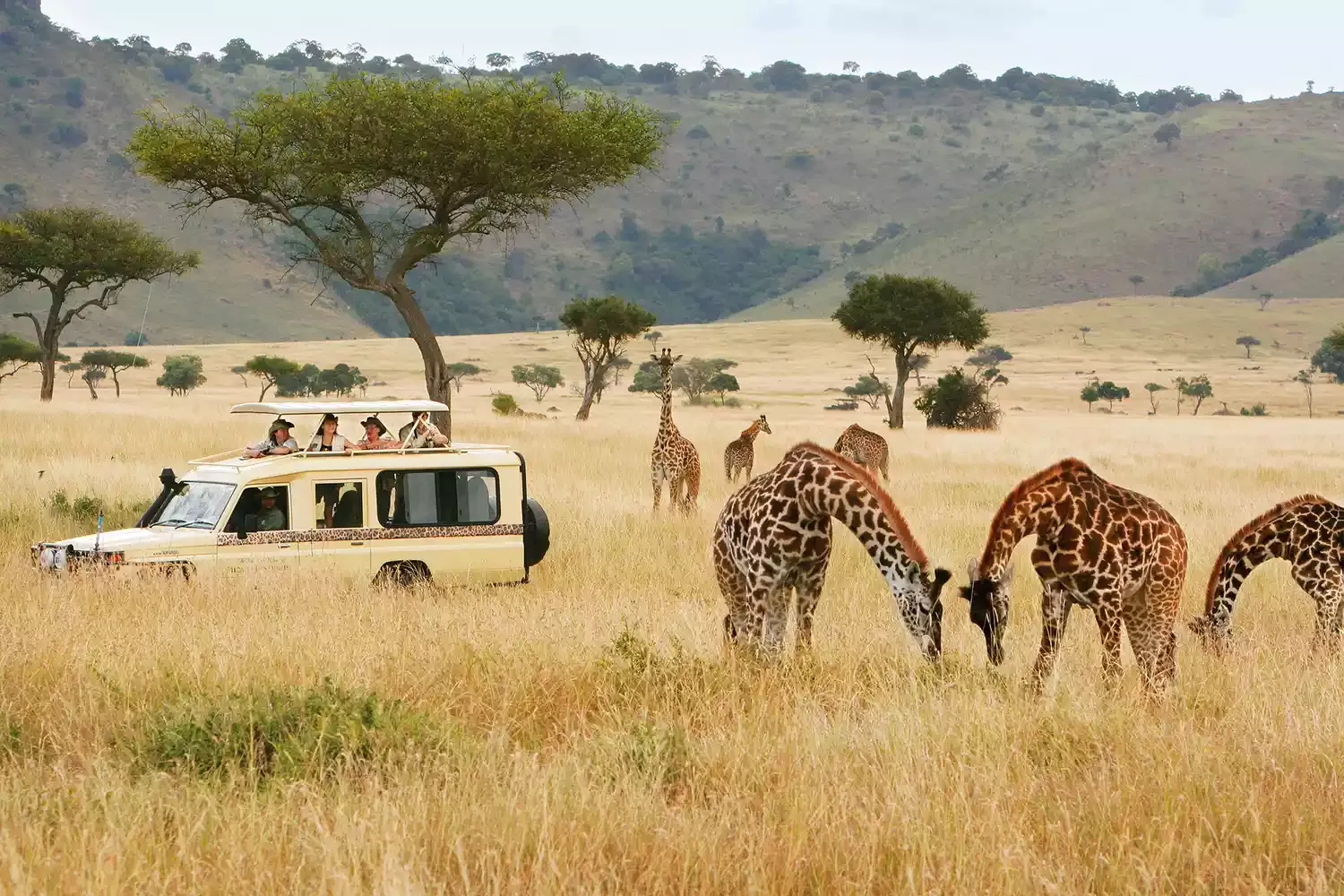 Why Kenya Is the Best Place for a Safari, According to a Seasoned Local Guide